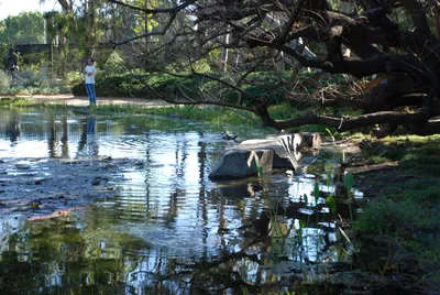 DSC_0078 (Large).JPG